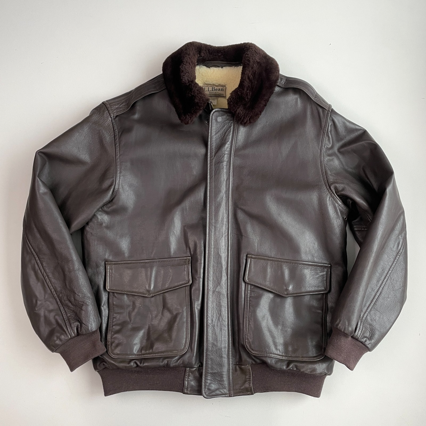 VNTG LL Bean (L/XL Tall) Flying Tiger A-2 Leather Shearling Collar Bomber Jacket